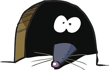 Amazon Com Scared Frightened Hiding Little Mouse Rat Cartoon Vinyl Sticker 2 Wide Tools Home Improvement Amazon Com Scared Frightened Hiding Little Mouse Rat Cartoon Vinyl Sticker 2 Wide Tools Home Improvement