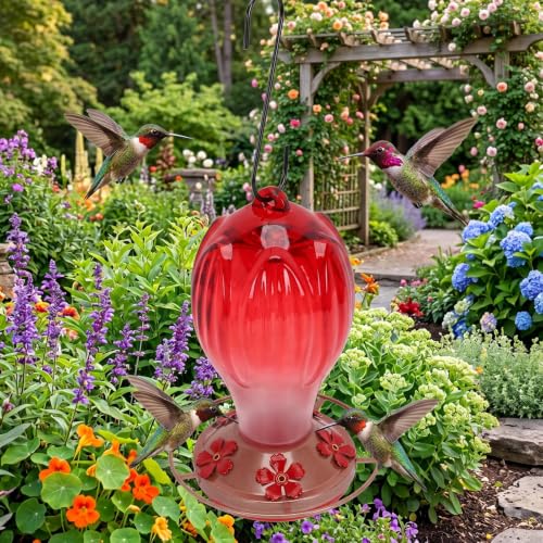 Mangeoire à nectar étanche et anti-vent pour nourrir les petits colibris