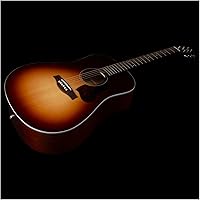 Vista 2 de SEAGULL Entourage Otoño Burst Presys II