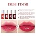 FAFAMOON Long Lasting Lip Gloss, Fafamoon Lip Tint Stain Set, Moisturizing Lip Gloss Velvet Liquid Lipstick, Lip Stain Long Lasting Waterproof, Non Sticky, Matte Finish Lip Makeup (4Pcs, 1)