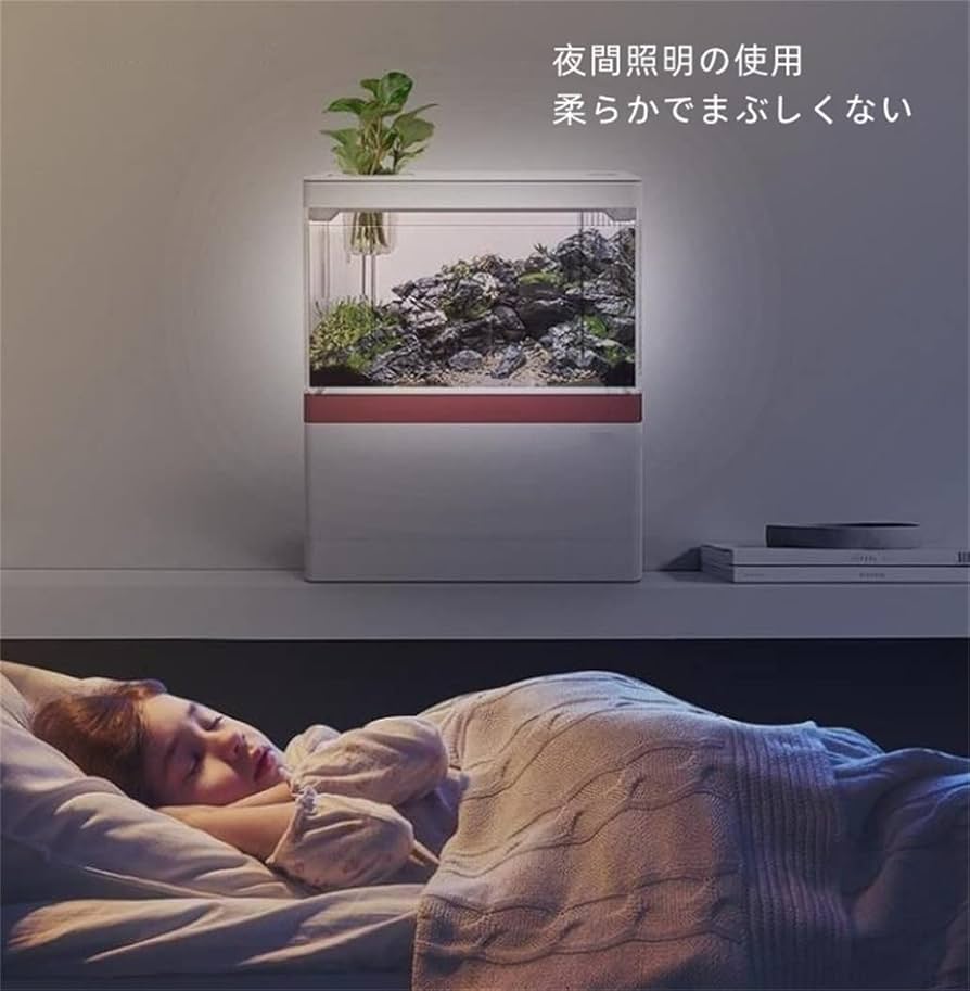 Amazon | loyfreeyo 水槽 メダカ 金魚鉢 水槽セット