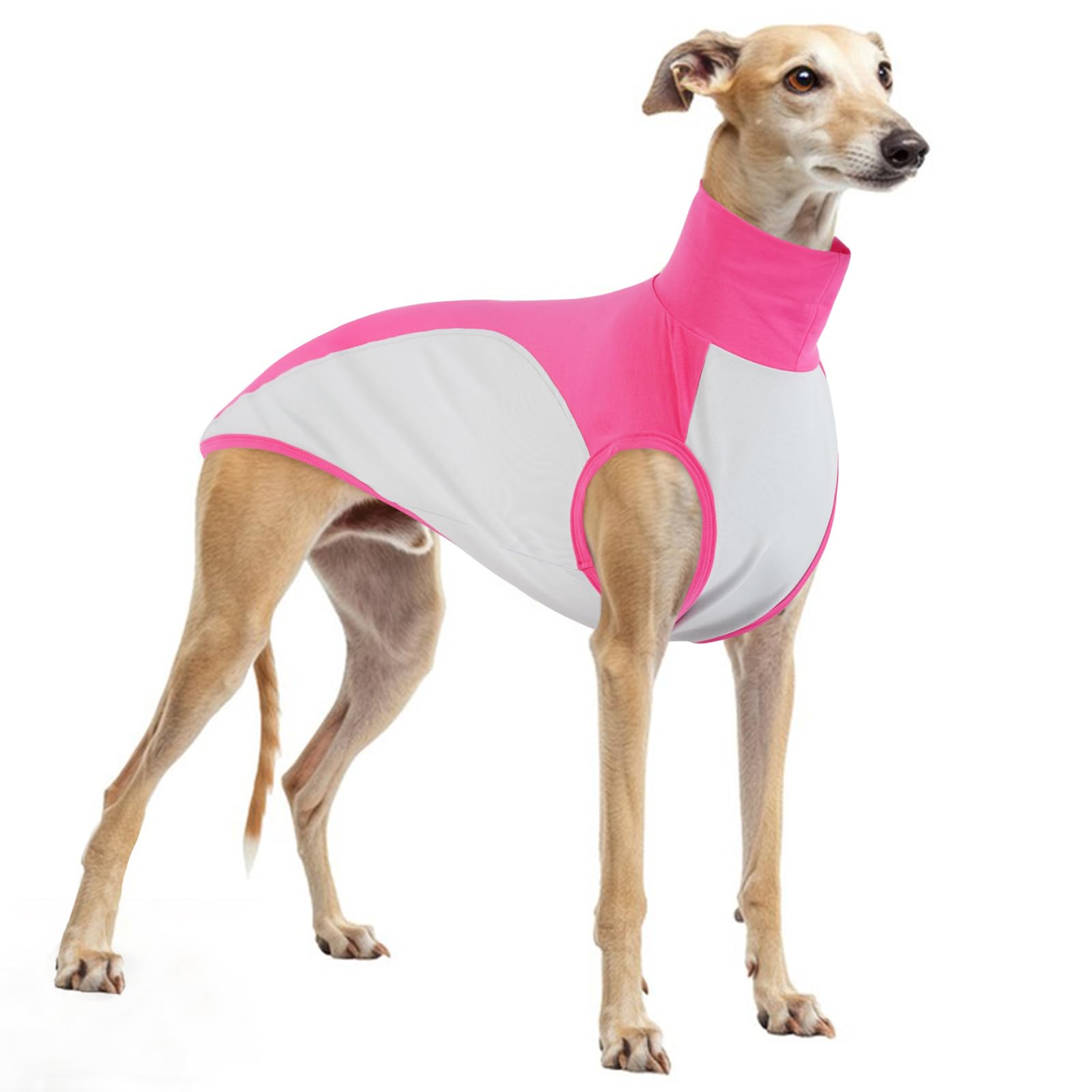 Whippet Clothes, Soft Cotton Italian Greyhound Jumper Color-Blocked Pajamas Stretchable Pullover Sweatshirt Stylish(Pink, M) — image 1