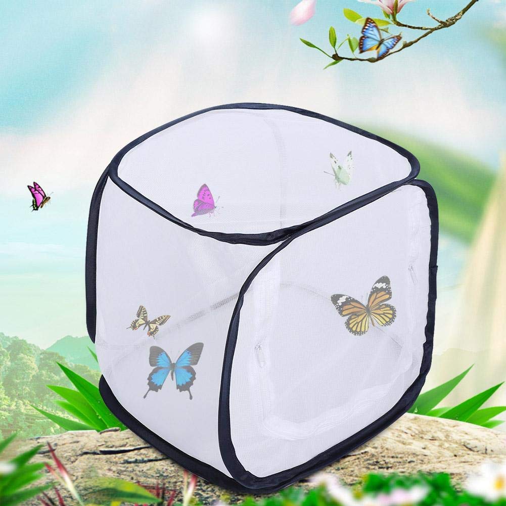 Outdoor Pieghevole Cage Habitat - Fine Mesh Stops - 5 Pannelli reticolari per Flusso d'Aria - con Grande Apertura a Cerniera - Pannello Trasparente per Una Facile