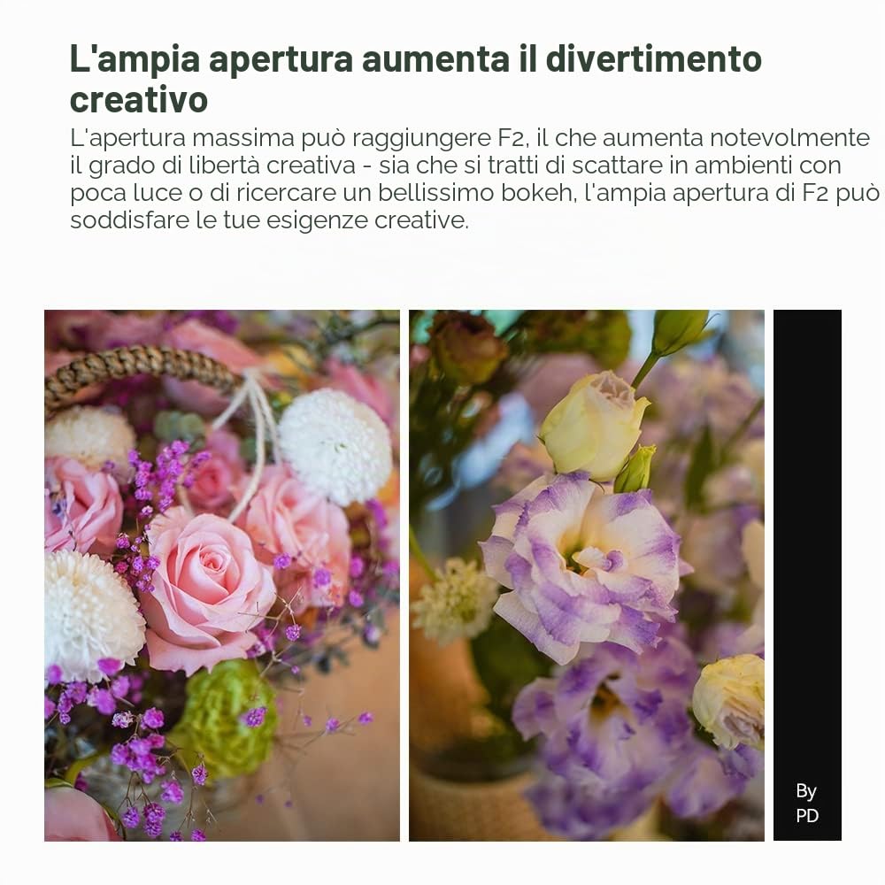 TTArtisan Obiettivo grandangolare APS-C da 25 mm F2 per fotocamera con grande apertura manuale e obiettivo fisso per fotocamere Sony NEX-5 NEX-C3 NEX-5N NEX-7 NEX-F3 NEX-5R NEX-3N NEX-5T A3000 A5000