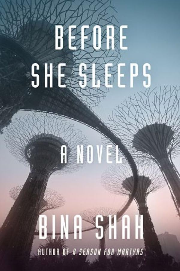 Before She Sleeps      Kindle Edition