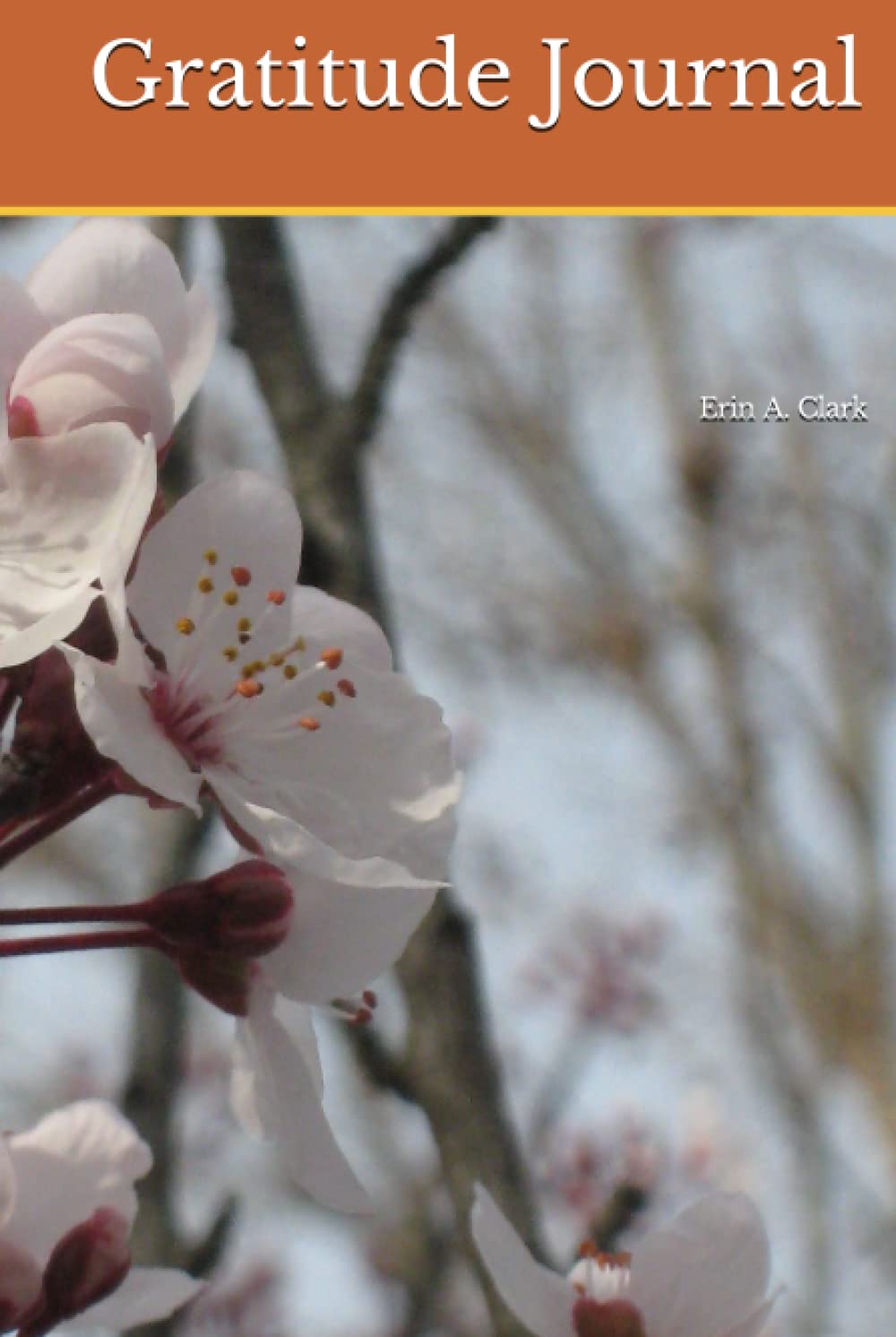 Gratitude Journal