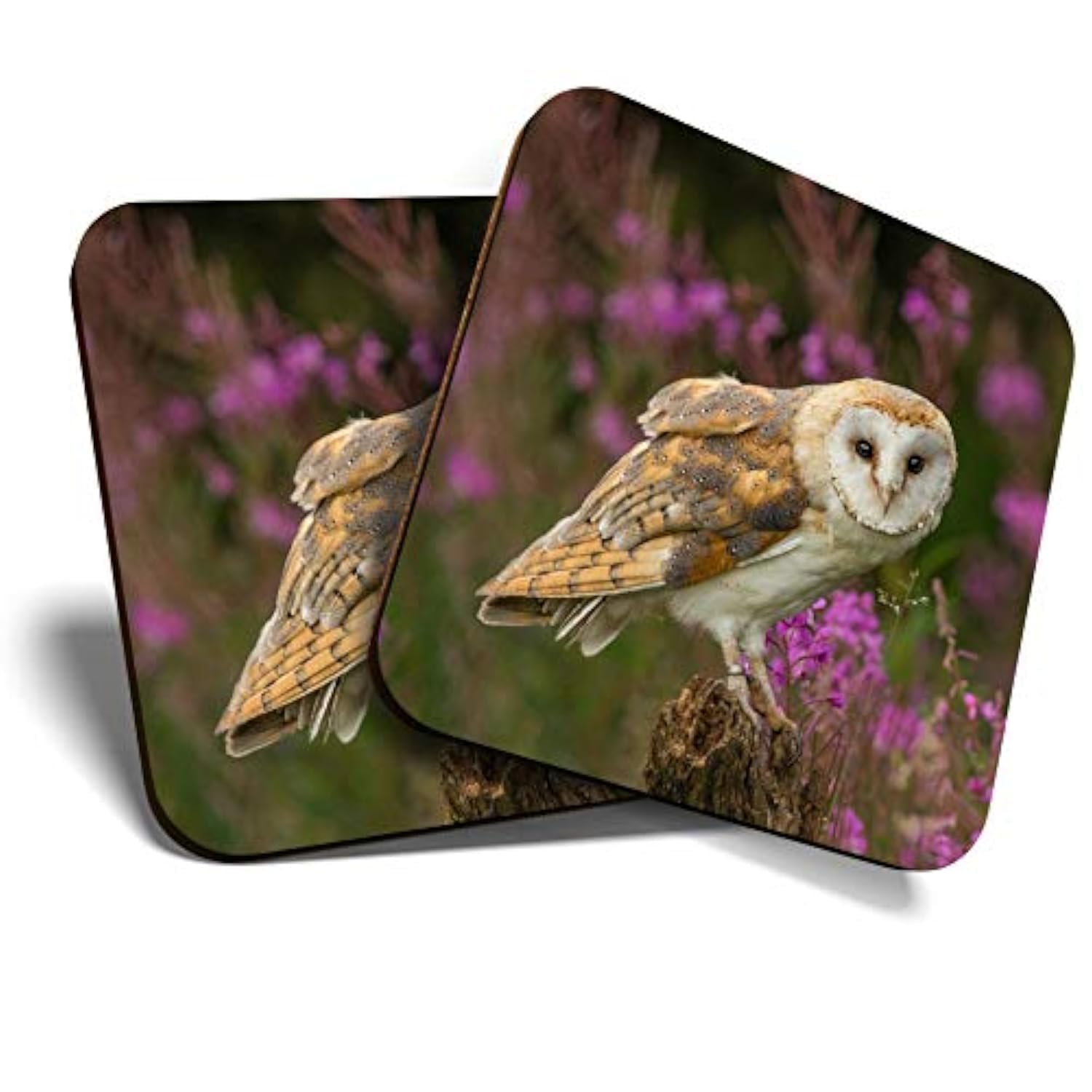 Great Coasters (Set of 2) Square/Glossy Quality Coasters/Tabletop Protection for Any Table Type - Pretty Barn Owl in The Forest #15813