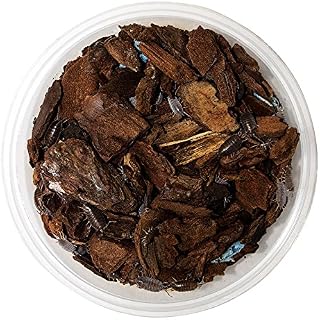 Reptile Centre Tropical Grey Woodlice pre-pack