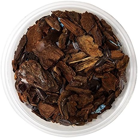 Reptile Centre Tropical Grey Woodlice pre-pack