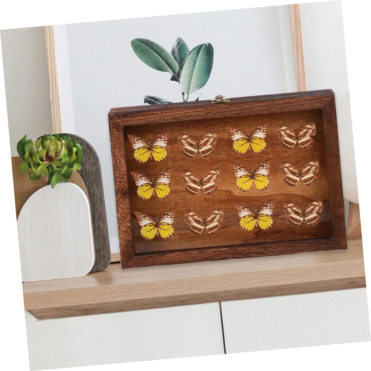 Vitrine pour Spécimens en Bois et Acrylique, Boîte de Présentation Rétro à Grosse Capacité, Cadre Boîte à Ombre Transparent et Anti-humidité pour Collection Style Aléatoire