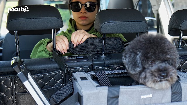 Mochila Gato Transportin Perro Mediano Pecute Transportin Perro