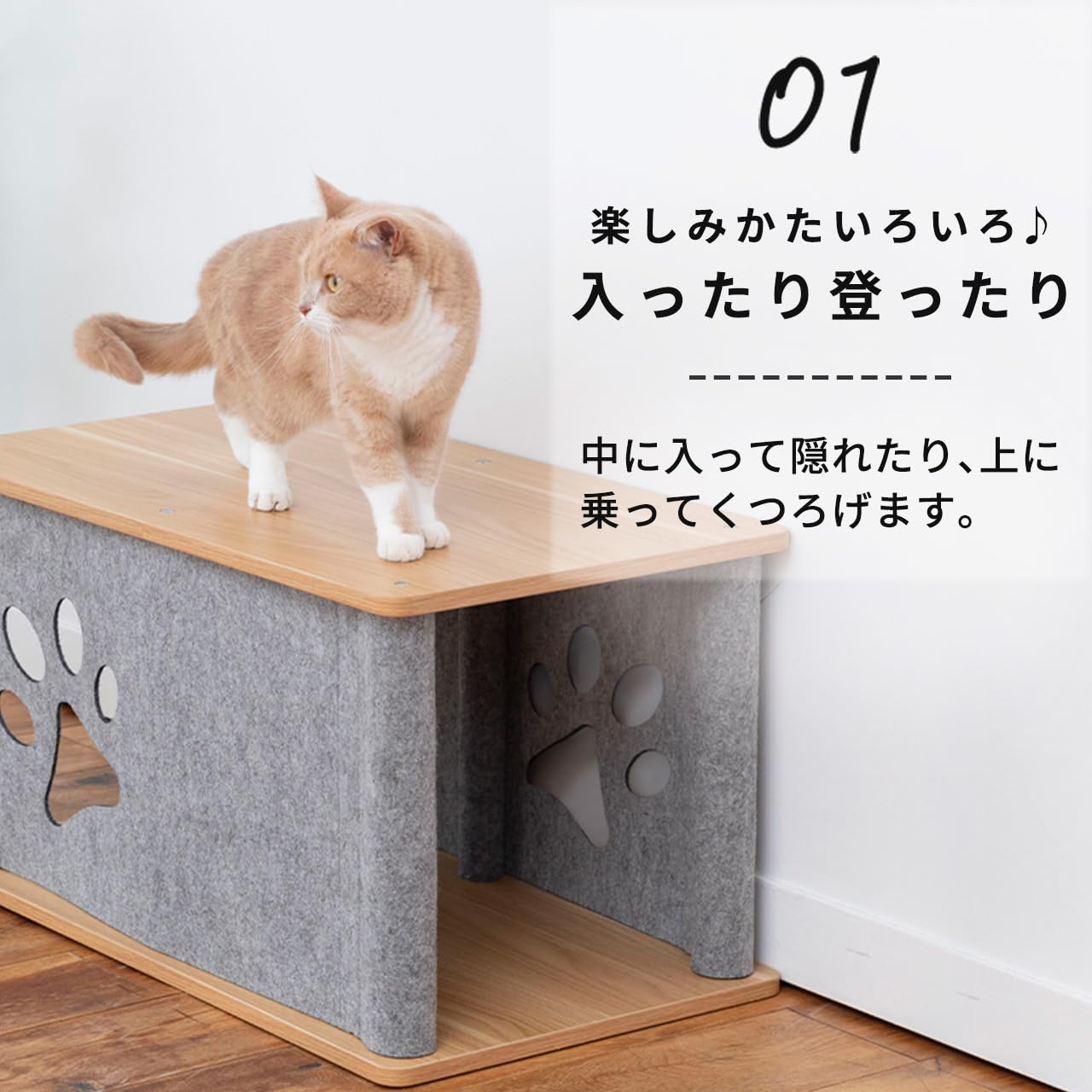 Amazon.co.jp: PET SELECT (ペットセレクト) ニャンコノイエ (トンネル