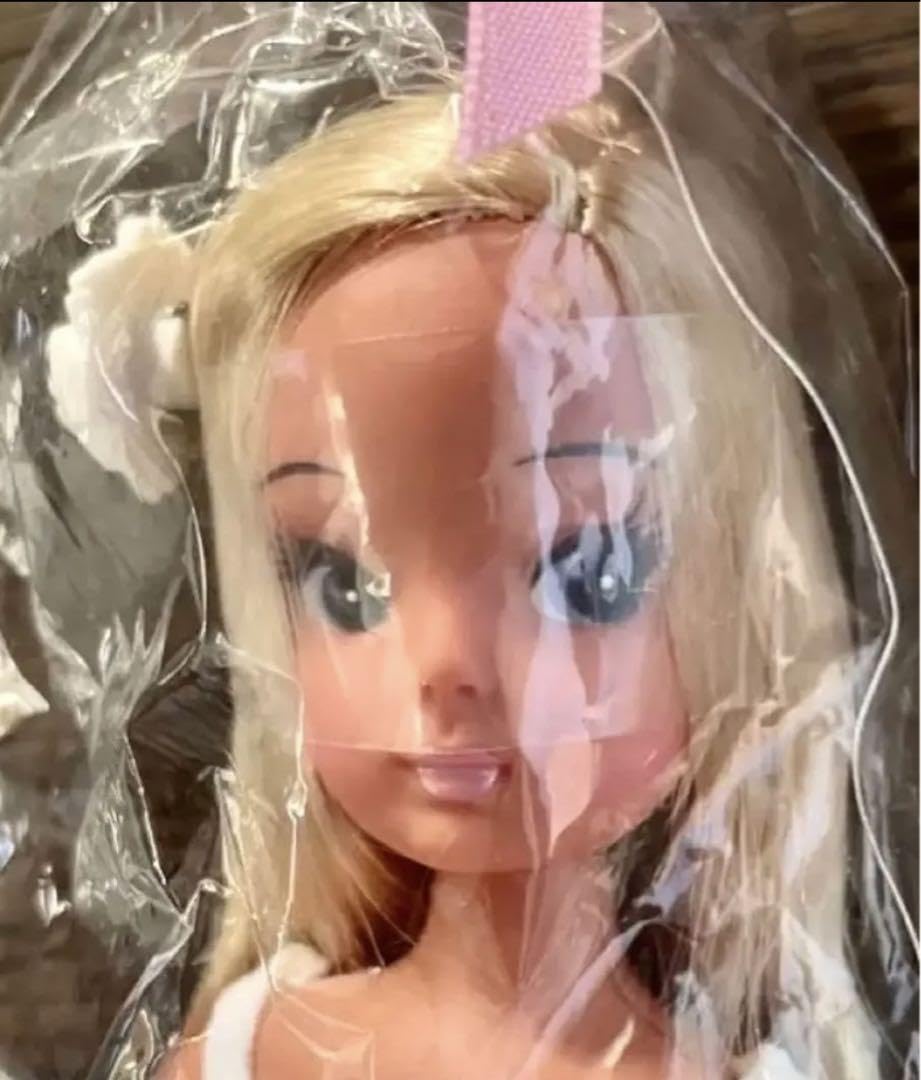 レプリカ リカちゃん Amazon.co.jp: 4代目リカちゃん プレゼントリカちゃん 白箱 1995