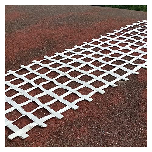 DREAMOSA Climbing Cargo Net Heavy Duty,Ninja Net,Rope Ladder for Kids Outdoor Treehouse Backyard Playground Indoor Obstacle Webbing Net for Swing Set Jungle Gym Accessories for Slacklines,White