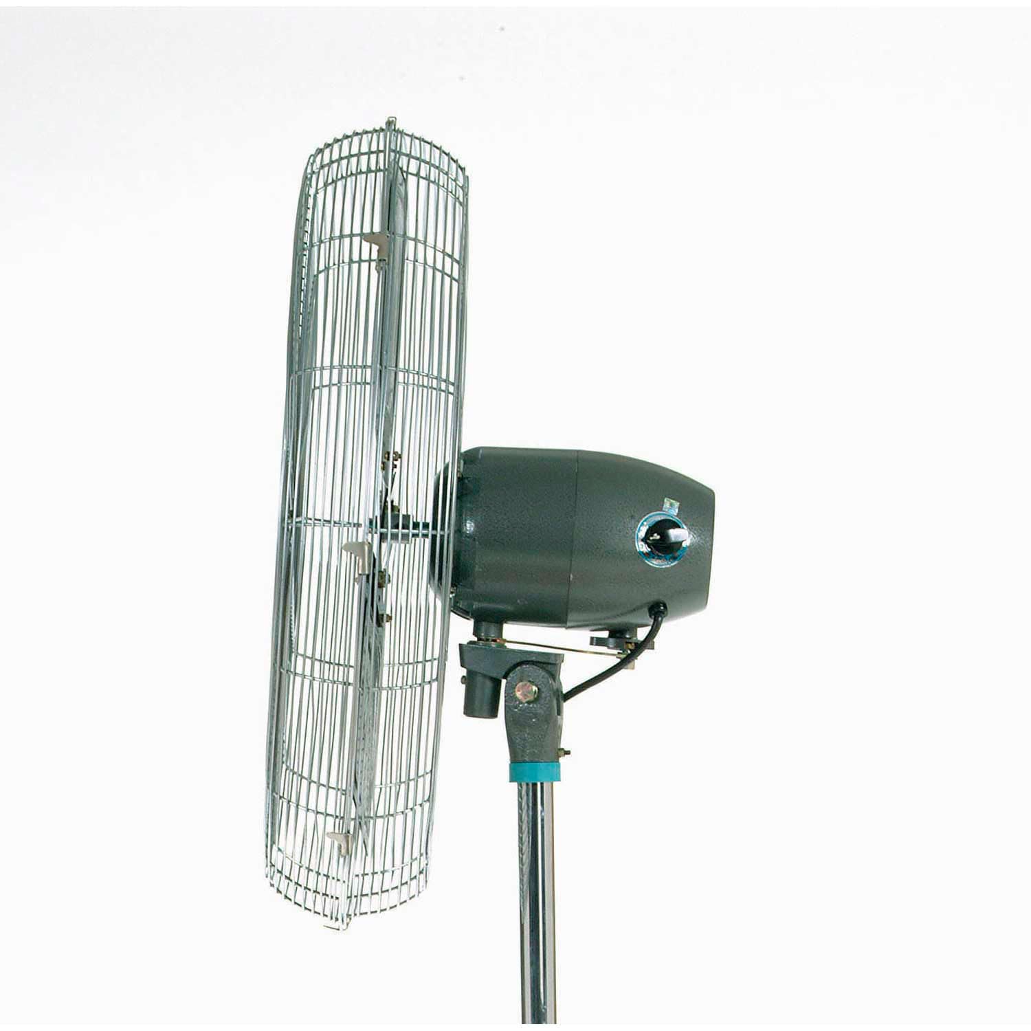 Amazon.com: Global Industrial Heavy Duty Oscillating Pedestal Fan