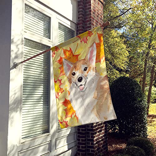 Corgi Fall Flag Caroline's Treasures grand drapeau résistant qui ne ternit pas