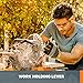 Worx 20V Cordless Sliding Miter Saw (Tool Only)