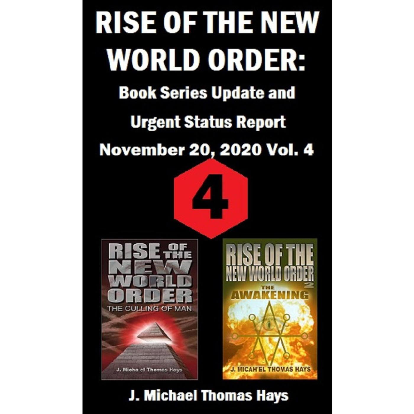 Rise of the New World Order: Book Series Update and Urgent Status Report