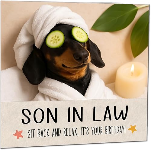 Son in Law Birthday Card - Sit Back and Relax Funny Sausage Dog Birthday Cards for Son in Law