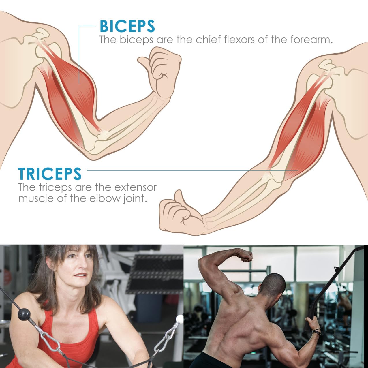 Unomor 1Pc Suspended Fitness Machine Pulley Wheel Lightweight Gym Equipment Replacement Smooth Surface for Easy Movement for Home Gym Cable Systems Enhances Workout