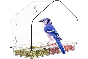 Cq Acrylic Window Bird Feeder with Strong Suction Cups