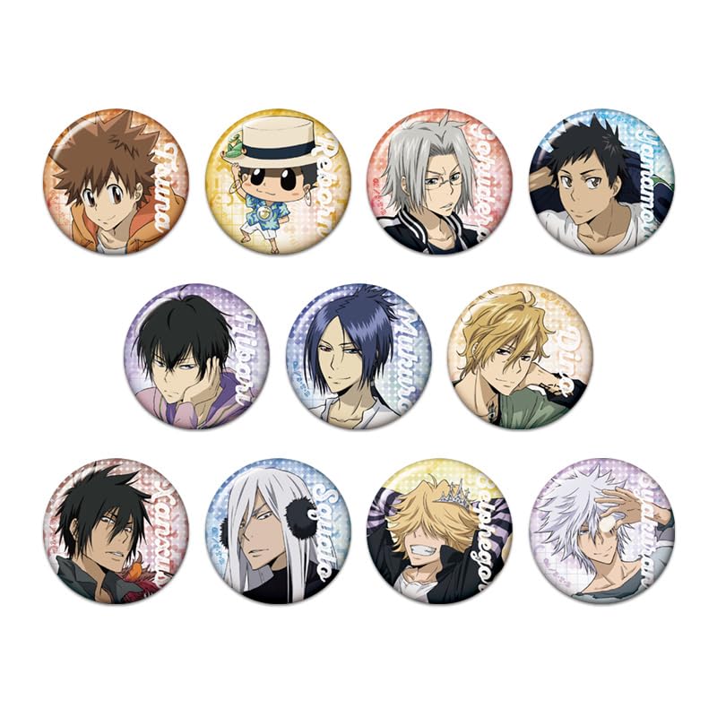 Badges Katekyo Hitman Reborn! en boîte de 11 pièces pour collectionneurs d'anime