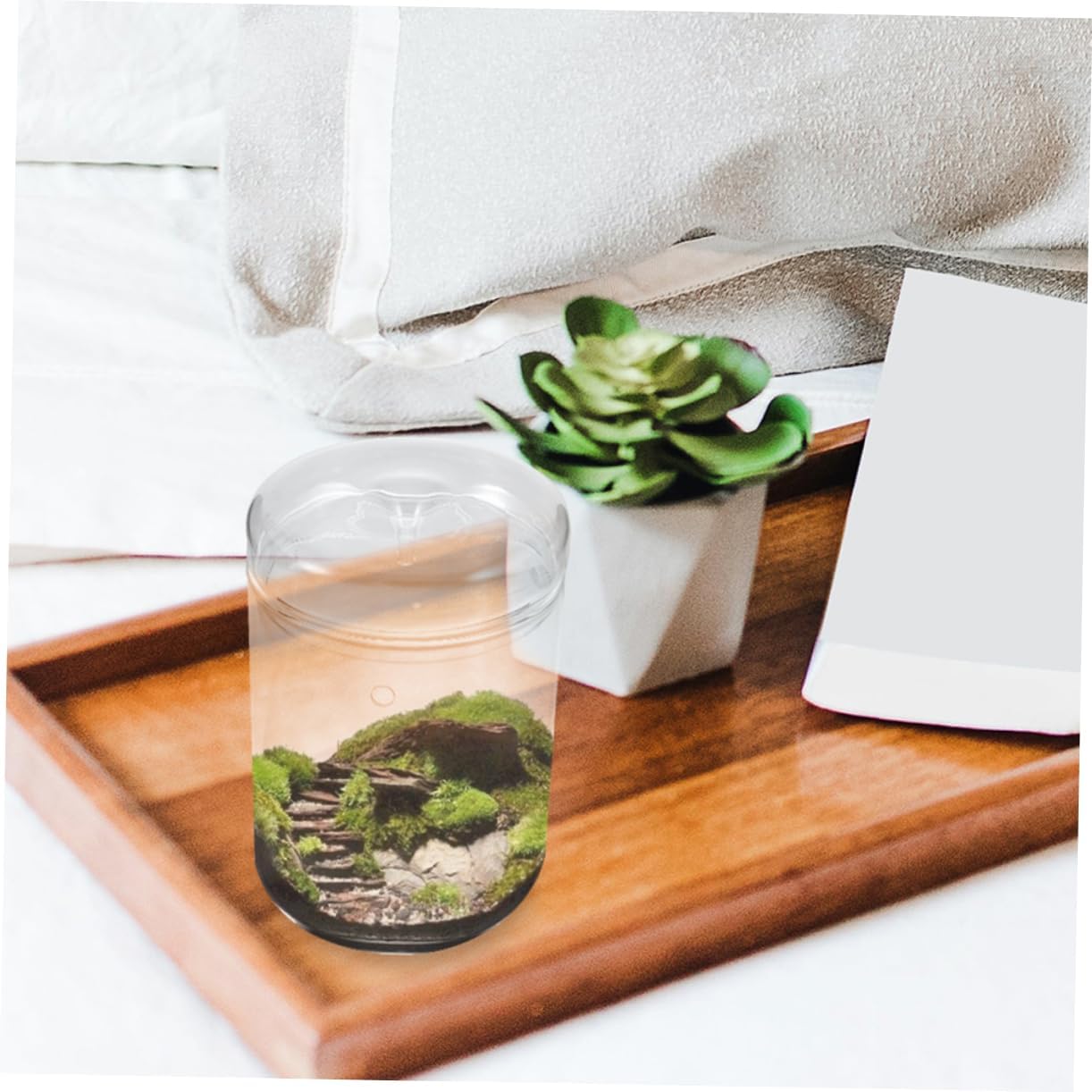 Toyvian Clear Glass Terrarium Planter Vase with Lid DIY Empty Plants Container for Moss Miniature Gardening Indoor Decoration Compact Versatile Home Office Use