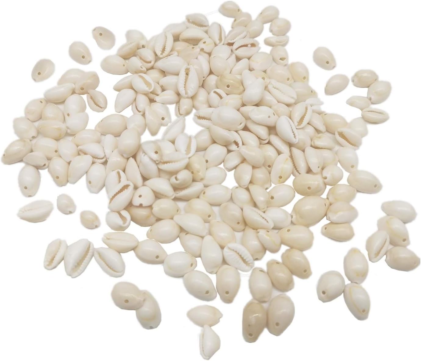 Topus 150~180 pcs/Box White Natural Spiral Shell Beads Ocean Summer Cowrie Sea Shells Oval Ocean Beach Spiral Seashells Craft Charms with Holes for DIY Craft Jewelry Making