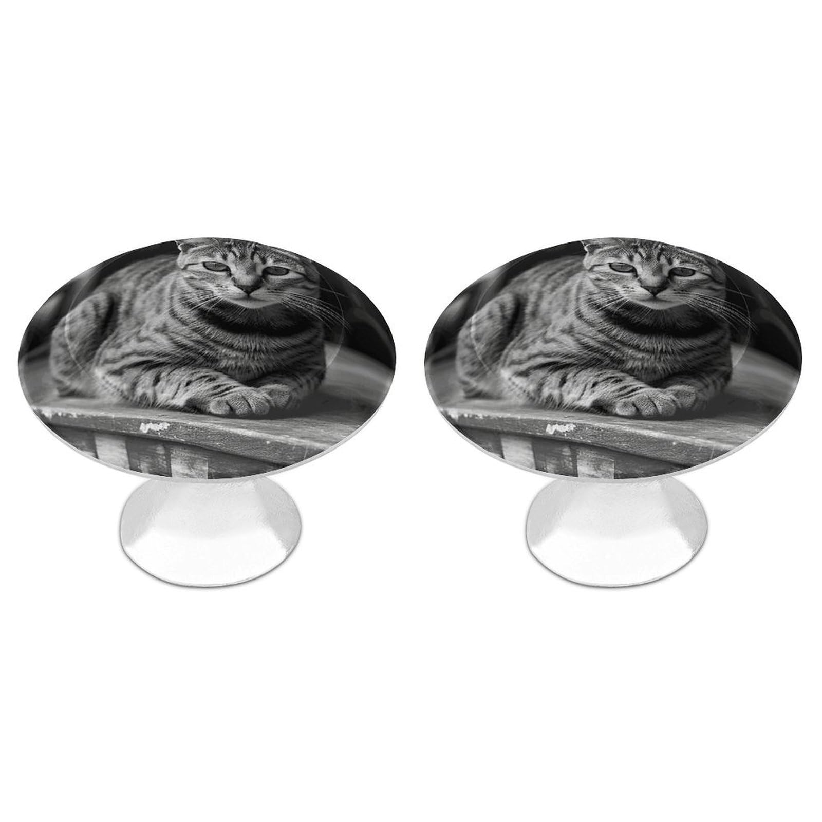 Btcowzrv Style A Gray Cat 2 Pack Cabinet Knobs Drawer Pulls