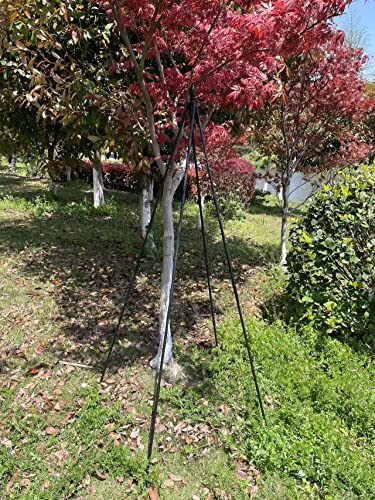 5.2 Ft Garden Trellis Rose Frame Garden Plant Support Obelisk Trellis Flower Arch Trellis Plant Support Stake #TOP4