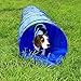 lionto Outdoor Tunnel robust für große & kleine Hunde, 300x50 cm, Faltbarer Spieltunnel für Kinder mit Heringen aus reißfestem Material, standhafter Agility Tunnel mit praktischer Tragetasche, blau