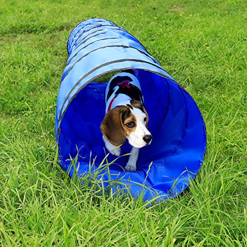 lionto Outdoor Tunnel robust für große & kleine Hunde, 300x50 cm, Faltbarer Spieltunnel für Kinder mit Heringen aus reißfestem Material, standhafter Agility Tunnel mit praktischer Tragetasche, blau