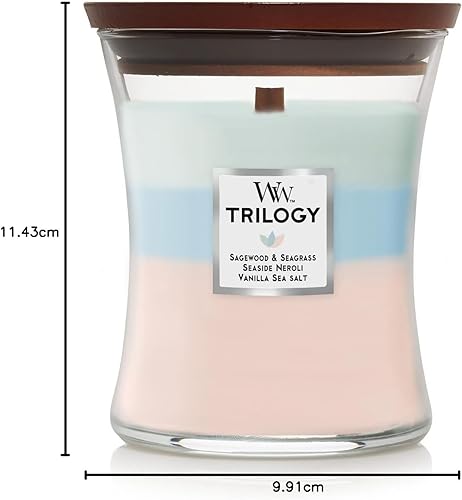 Vista 9 de WoodWick Warm Woods Vela mediana en frasco, con forma de reloj de arena, cera de mezcla de soja prémium, mecha de madera Pluswick Innovation