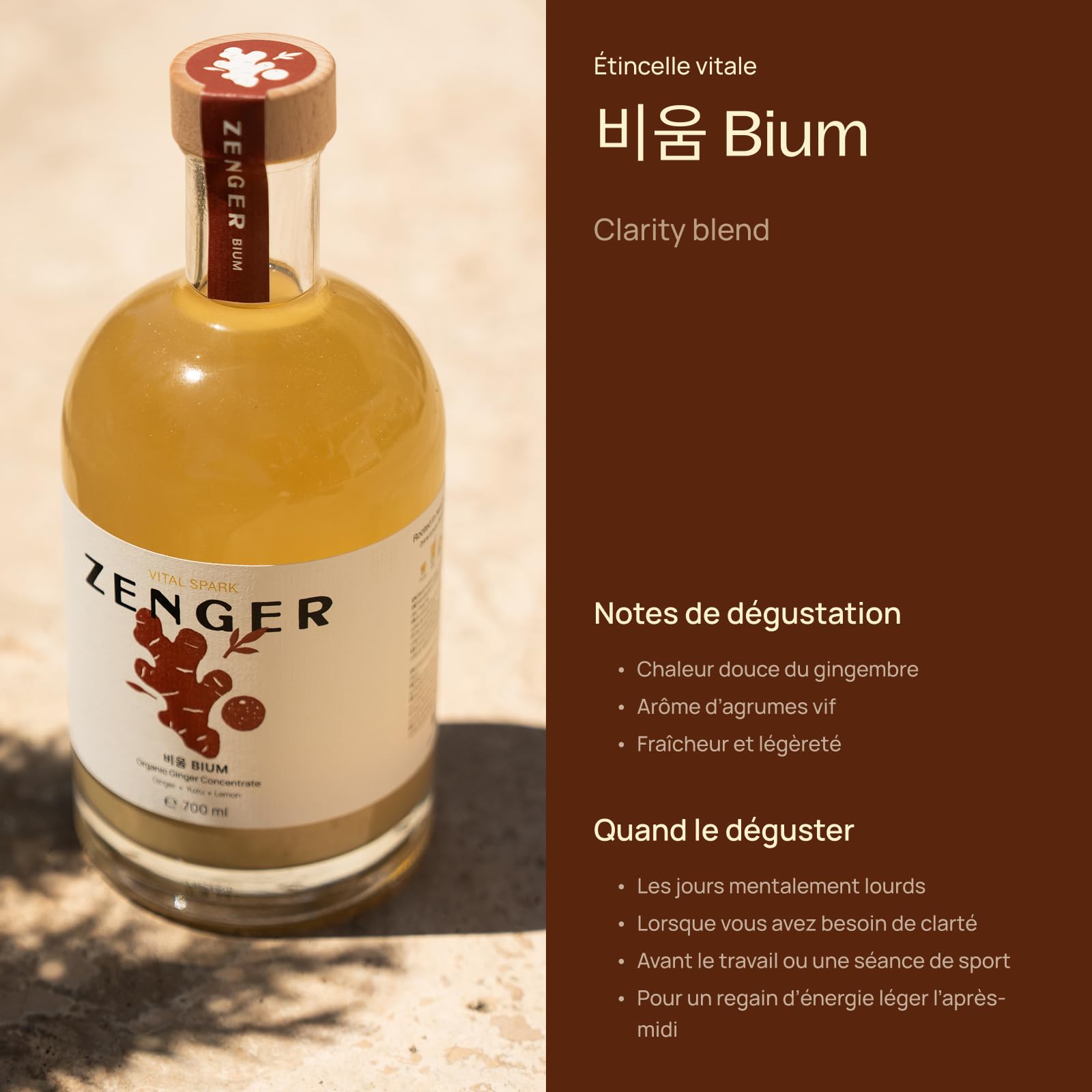 ZENGER – Élixir de Gingembre Bio Premium 700 ml Concentré de Gingembre Naturel | Sans Alcool | Pour Rituels de Thé, Mocktails & Bien-être Quotidien (Vital Spark BIUM)