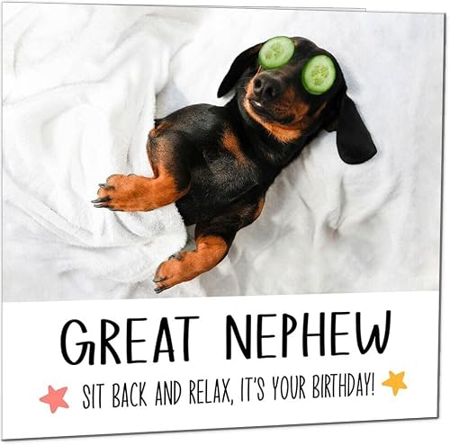 Great Nephew Birthday Card - Relax Dog Dachshund Funny Birthday Cards for Great Nephew