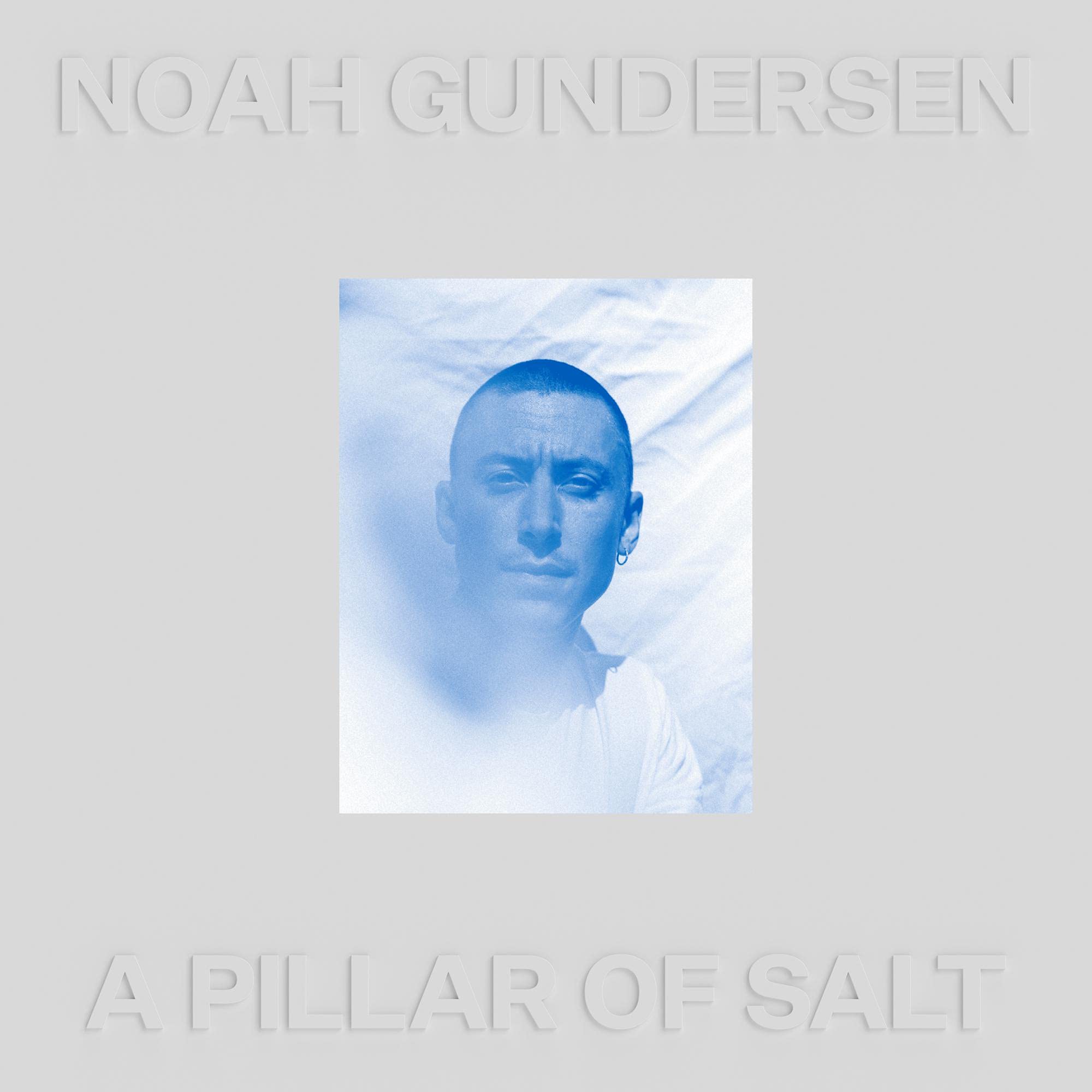 Pillar of Salt by Noah Gundersen (CD, 2021)