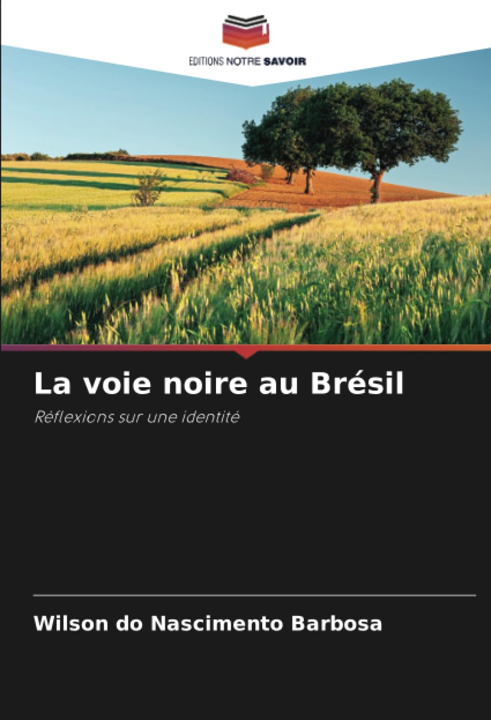 La voie noire au Brsil