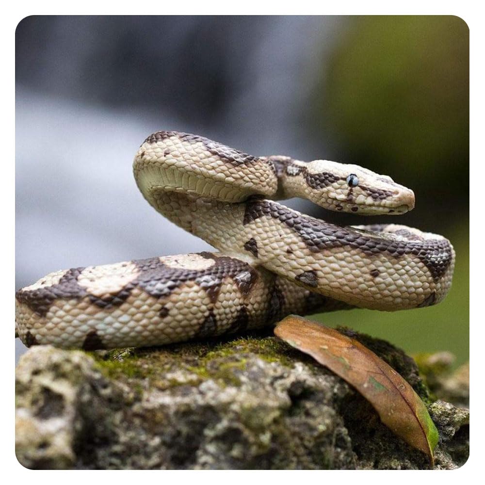 Realistic Snake,High Simulation Rubber Fake Snake,Python Model for Garden Props and Halloween Tricky Creepy Prank (Python) - Image 4