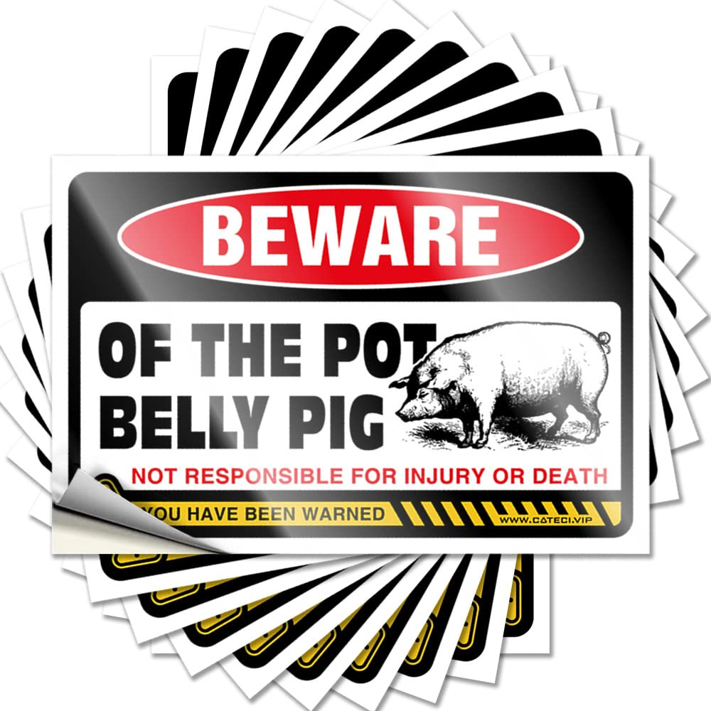 Decal Personalized, Girls Wall Beware of Pot Belly Pig | Funny Patio Decor(12X18CM)