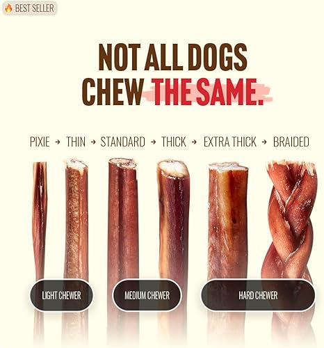 Miniatura 7 de Natural Farm Bully Sticks Jumbo sin olor (12 pulgadas, paquete de 5), masticables extra gruesos para perros, golosinas de carne 100% totalmente