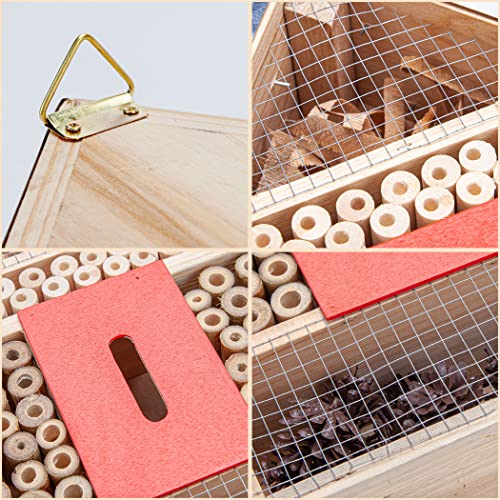 Cartman 4 Floor Hanging Insect House For Gardens, Natural Wooden Insect Hotel For Bee, Butterfly, Ladybirds, Beneficial Insect Habitat, Bug Hotel Garden #TOP5