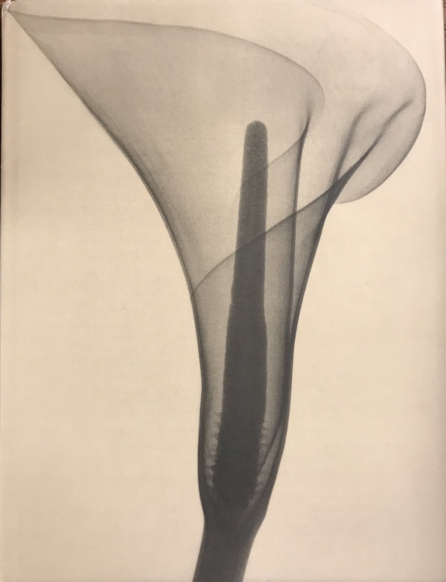 Amazon | Dr. Dain L.Tasker | Individual Artists