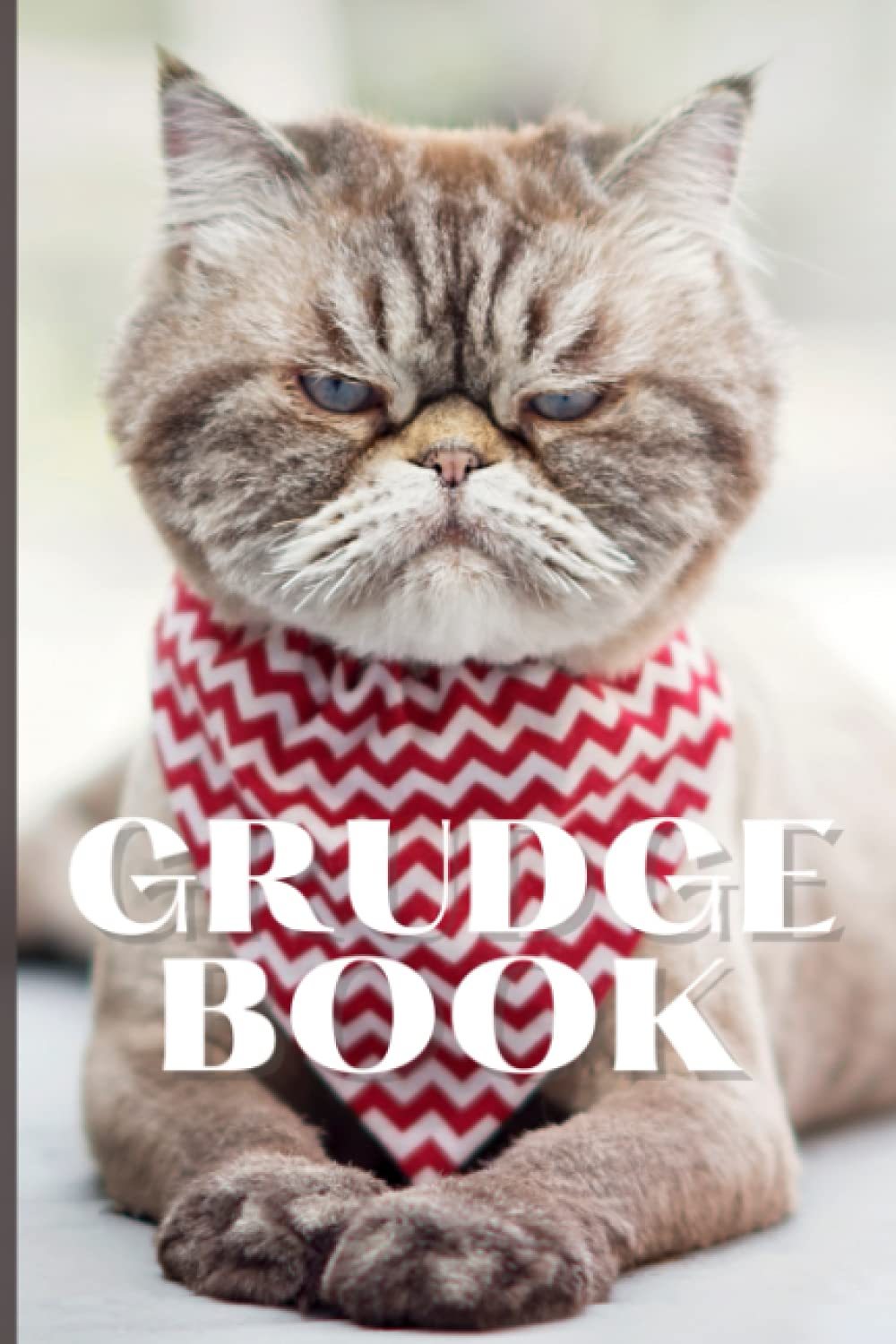 Grudge Book: Funny, grumpy cat, Persian, Exotic 6" x 9" Log Book, Notebook, Journal with custom pages