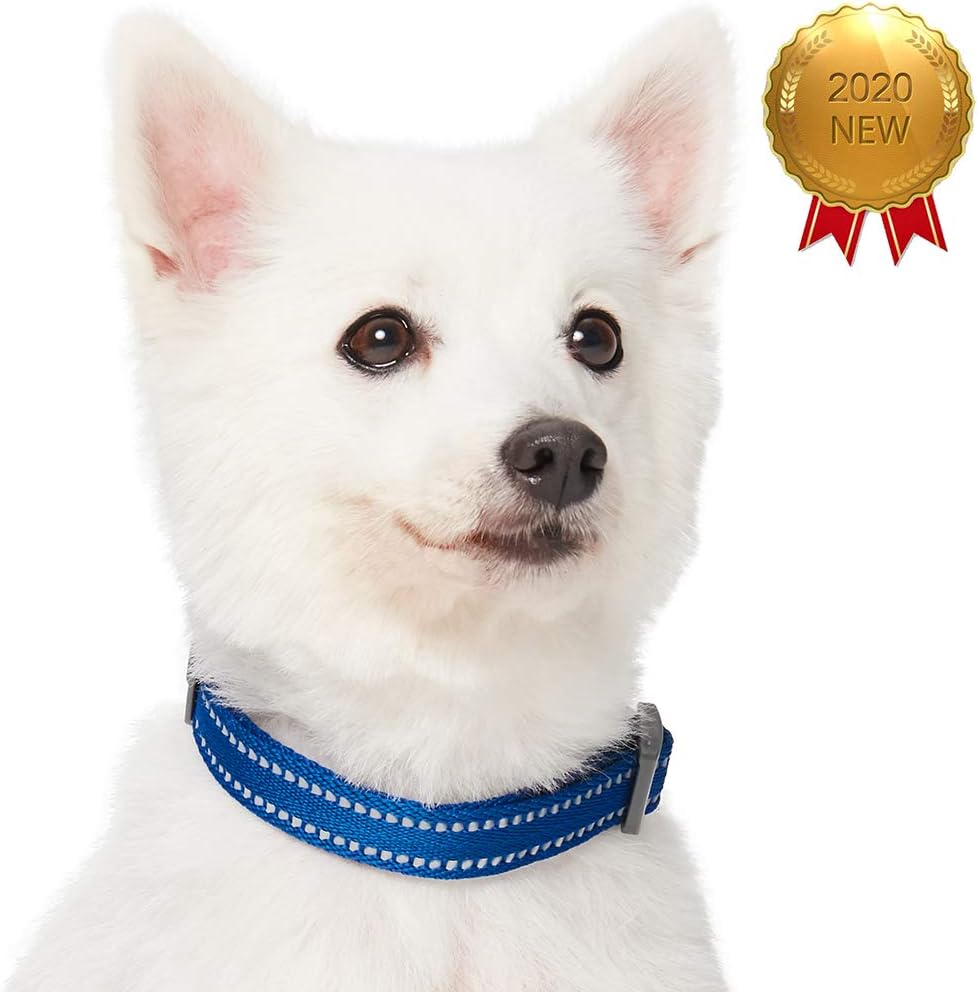 collo gonfiabile per cani