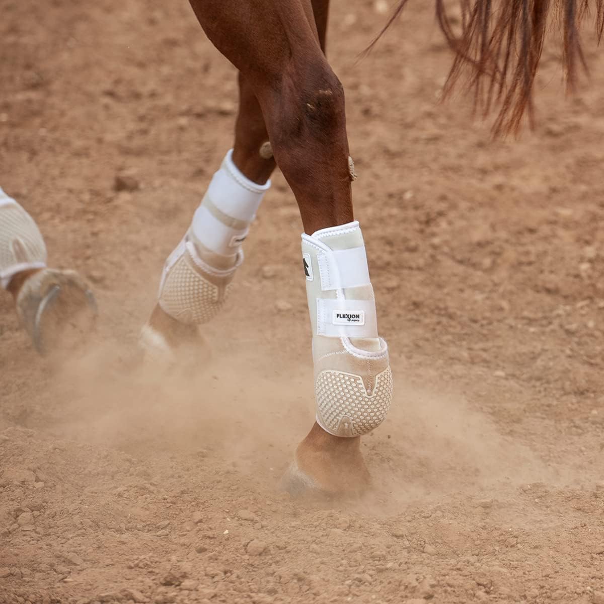 CLASSIC EQUINE Flexion by Legacy2 Hind Support Horse Boots