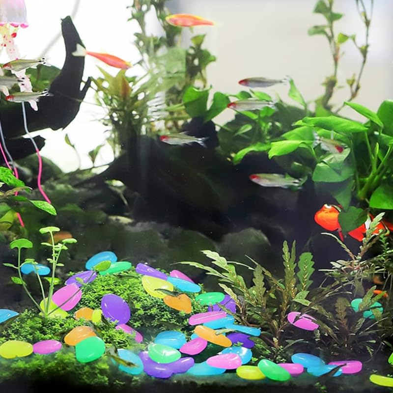 Luminous Stones for Garden & Home Decoration - 1000pcs Garden Pebbles, Small Luminous Pebbles Aquariums Rocks, for Landscaping for Fish Tank Lawn Yard Garden Walkway Plant Pots (2000 PCS)
