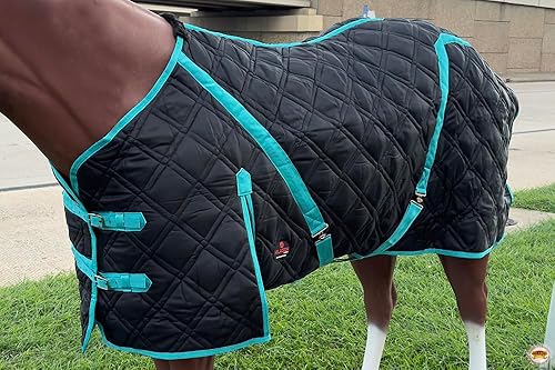 Miniatura 2 de HILASON Wesetern - Manta de caballo acolchada negra con borde turquesa, 84 pulgadas