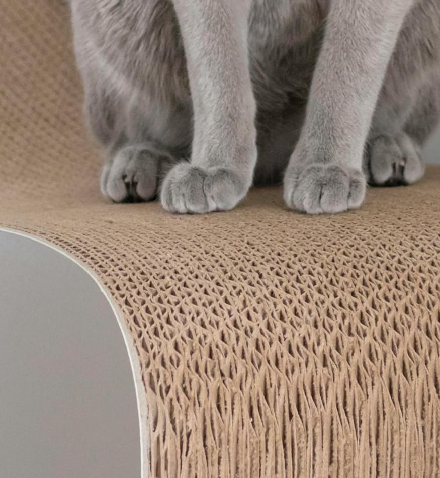 Grand griffoir Chats Carton 75 x 24 x 21 cm Vigo Mykotty griffoir en Carton pour Chat griffoir pour Chat Design Couleur au Choix