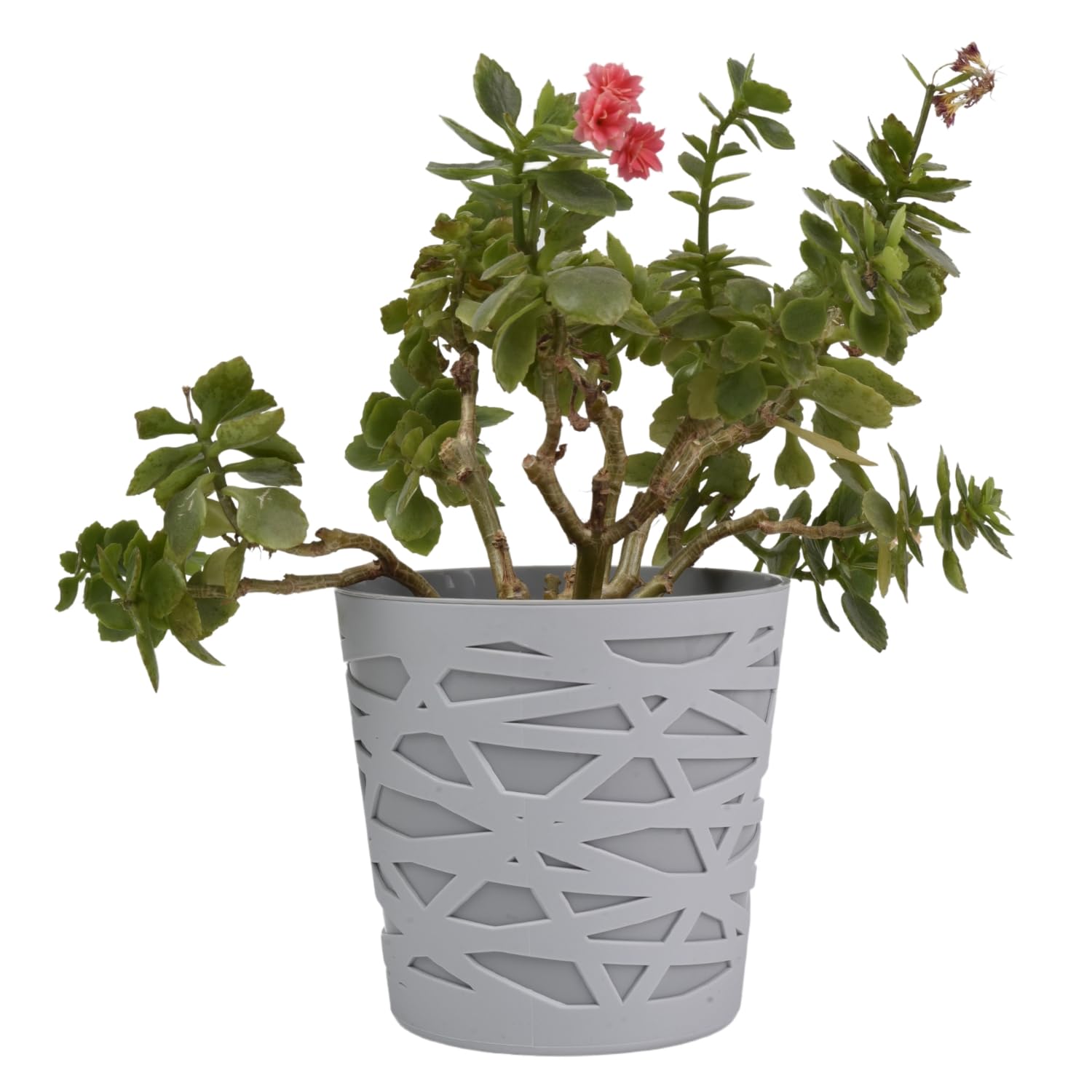 B2C Flowerpot plant pot planter Crystal Modern Decorative Daizy 7 colours 4 sizes (13cm, All Grey)