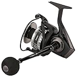 Okuma Cedros CJ 5000 Meeresrolle